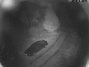 Caméra IP - Polonia