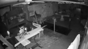 Caméra IP - Países Bajos