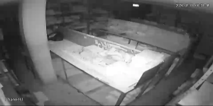 Caméra IP - Colombia