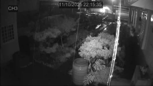 Caméra IP - Taiwan, Province of China