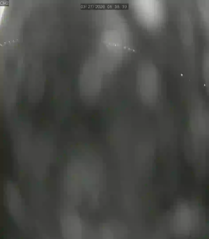 Caméra IP - Espagne