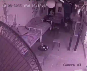 Caméra IP - Thaïlande