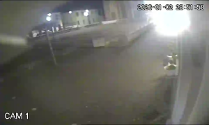 Caméra IP - Italien