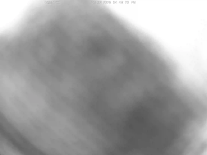 Caméra IP - Australia