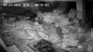 Caméra IP - China