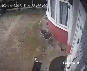 Caméra IP - Royaume-Uni