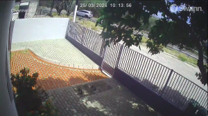 Caméra IP - Curaçao