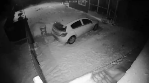 Caméra IP - Russian Federation