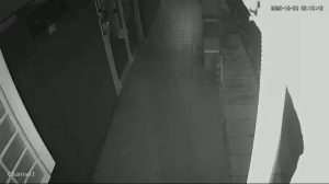 Caméra IP - Malaysia