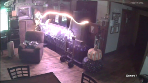 Caméra IP - United States of America