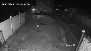 Caméra IP - United States of America