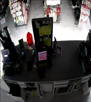 Caméra IP - Denmark