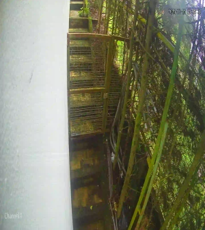 Caméra IP - El Salvador
