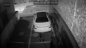 Caméra IP - South Korea