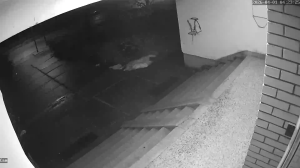 Caméra IP - Bosnie-Herzégovine