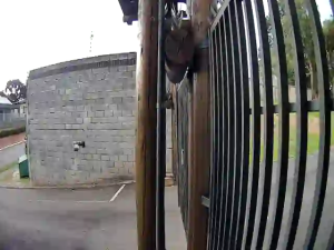 Caméra IP - Brasilien