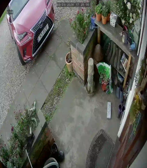 Caméra IP - Regno Unito