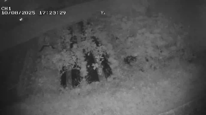 Caméra IP - South Korea