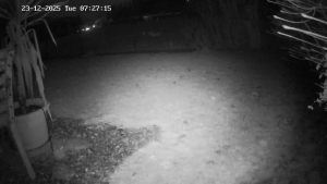 Caméra IP - Schweiz