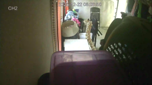 Caméra IP - Barbade