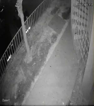 Caméra IP - Türkiye