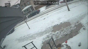 Caméra IP - États-Unis d'Amérique