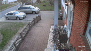 Caméra IP - United States of America