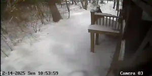 Caméra IP - États-Unis d'Amérique