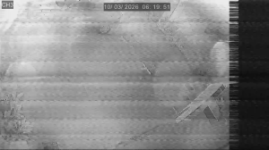 Caméra IP - Singapore