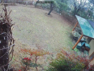 Caméra IP - South Korea