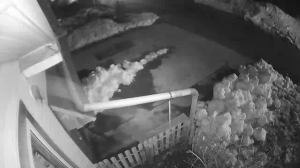 Caméra IP - Russian Federation