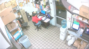 Caméra IP - Vereinigte Staaten von Amerika