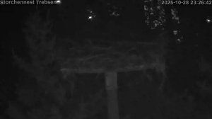 Caméra IP - Rumänien