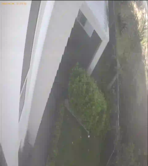 Caméra IP - New Zealand