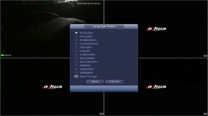 Caméra IP - Lituanie
