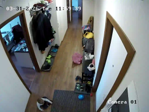 Caméra IP - Russian Federation