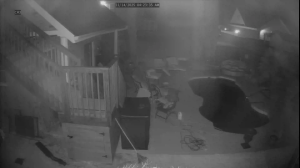 Caméra IP - United States of America