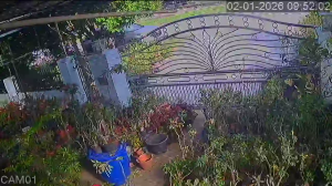 Caméra IP - Malaysia