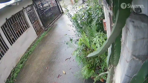 Caméra IP - Panama