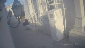 Caméra IP - United Arab Emirates