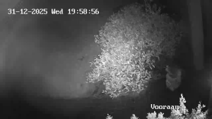 Caméra IP - Belgium