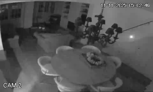 Caméra IP - Belgium