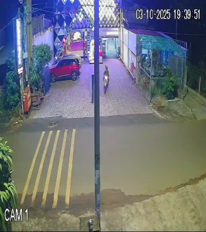 Caméra IP - Vietnam