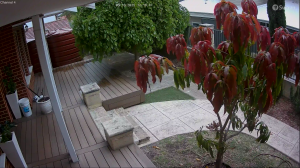 Caméra IP - Australie