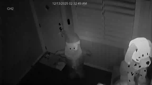 Caméra IP - Porto Rico