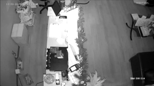 Caméra IP - United States of America