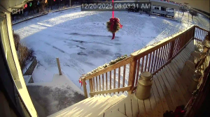 Caméra IP - Vereinigte Staaten von Amerika