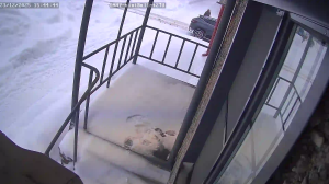 Caméra IP - Russian Federation