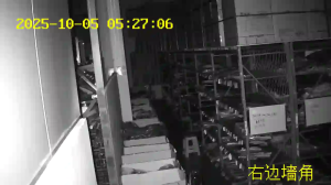 Caméra IP - China