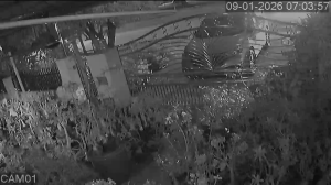 Caméra IP - Malaysia